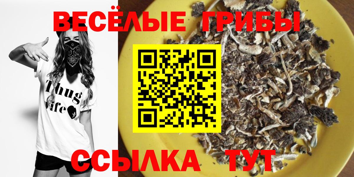 Галлюциногенные грибы прущие грибы Жуковский