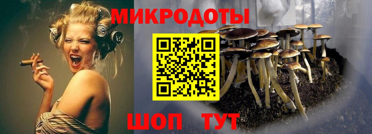 Галлюциногенные грибы прущие грибы  Вход с VPN  Жуковский  Галлюциногенные грибы Magic Shrooms 